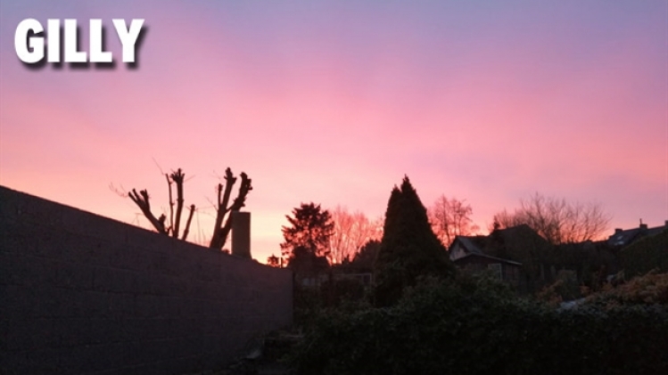 gilly