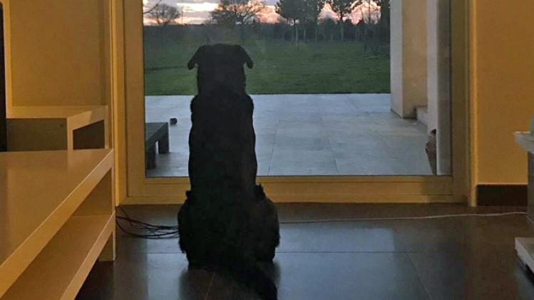 51150944_10218362307632887_2133982641643323392_o