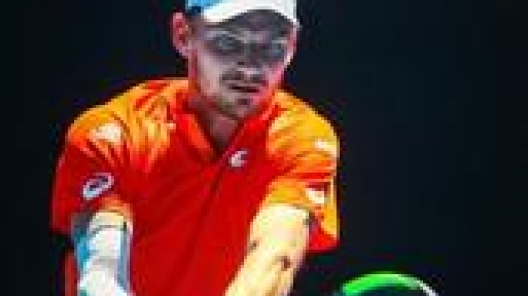 ATP Montpellier - David Goffin s'incline dès son entrée en lice face au Serbe Filip Krajinovic