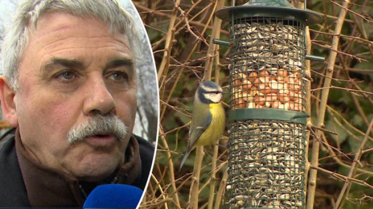 Grab_20190310_140701_808