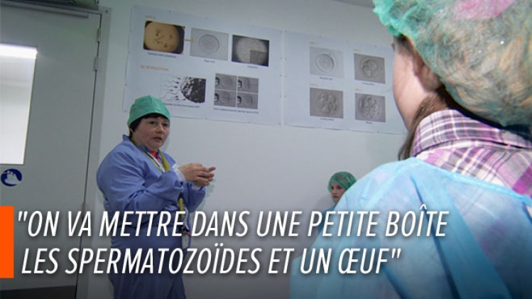 0uz-brussel-fecondation-in-vitro