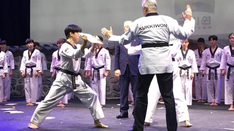 taekwondo6