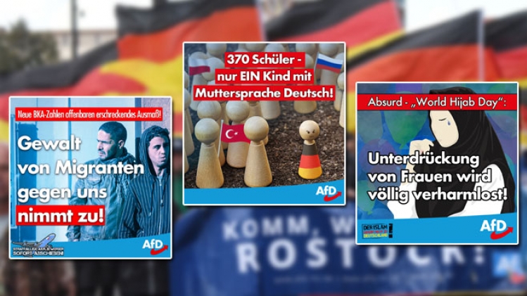 0afd-allemagne-extreme-droite-manipulation