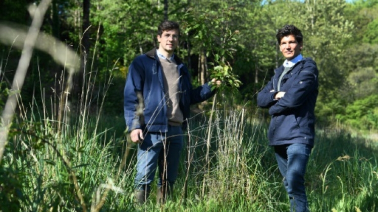 EcoTree, la start-up qui vend des arbres pour sauver les forêts