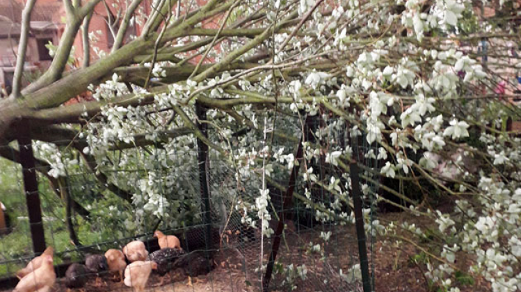 montignies-sur-sambre-21h35-a