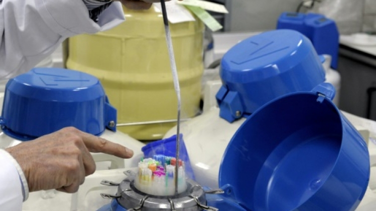 Don de sperme: des personnalités demandent la fin de l'anonymat