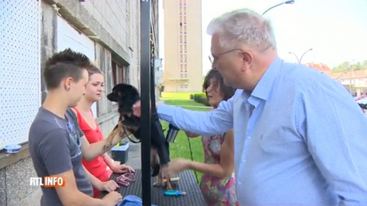 Le saviez-vous? La Fondation Prince Laurent offre un toilettage GRATUIT pour les chiens des personnes les plus démunies (vidéo)