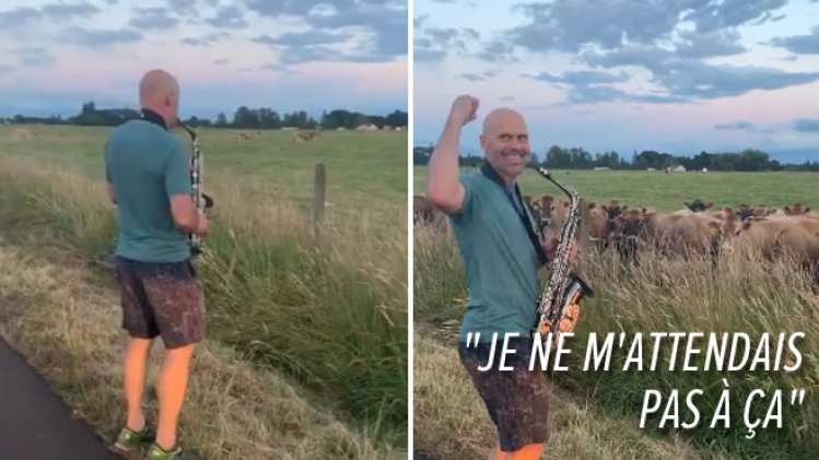 © Twitter Erin Herrmann