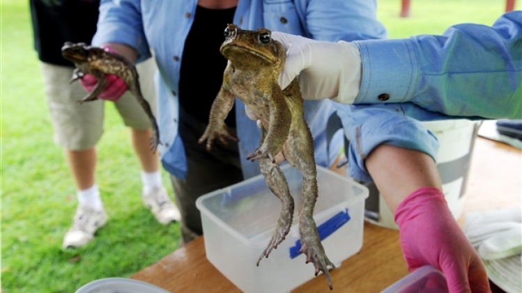 belgaimage-19546861-full