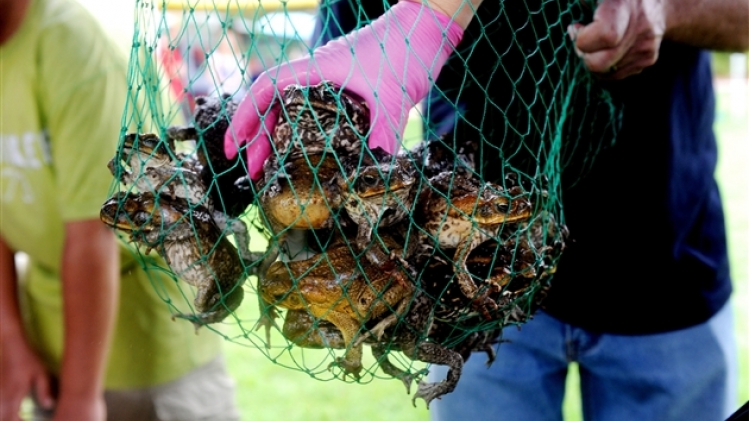 belgaimage-19546867-full (1)