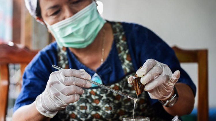 bave-escargot-labo-1