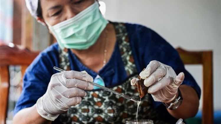 belgaimage-153202437