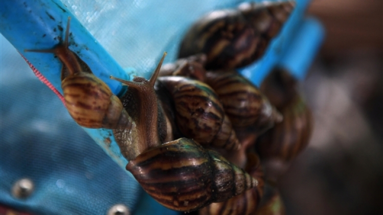 belgaimage-153202444