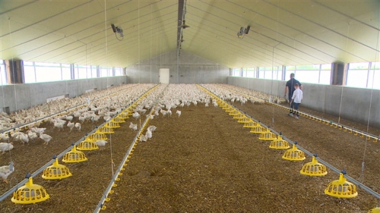 grab_20190728_133406_772