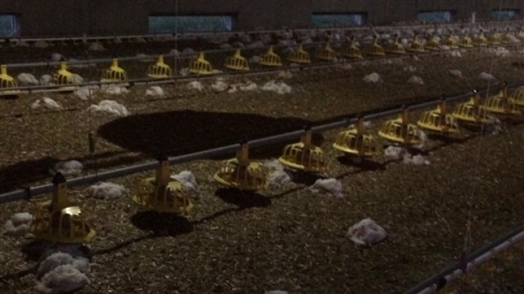 grab_20190728_133546_772