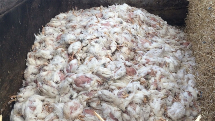 grab_20190728_133558_772