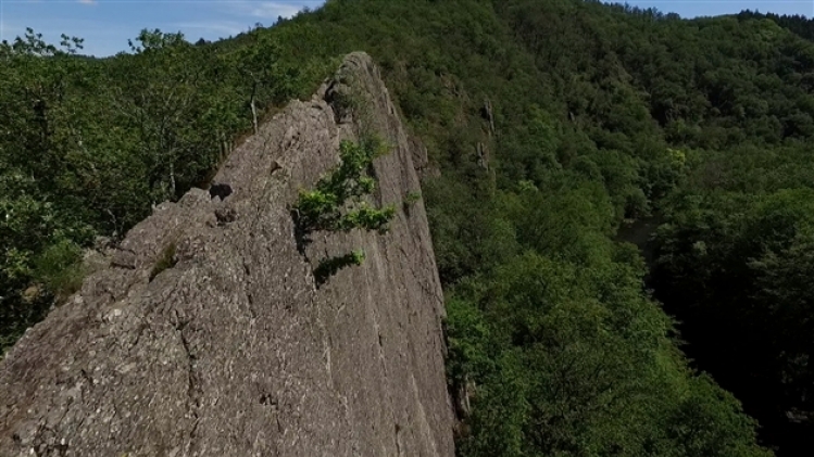 grab_20190731_161215_772