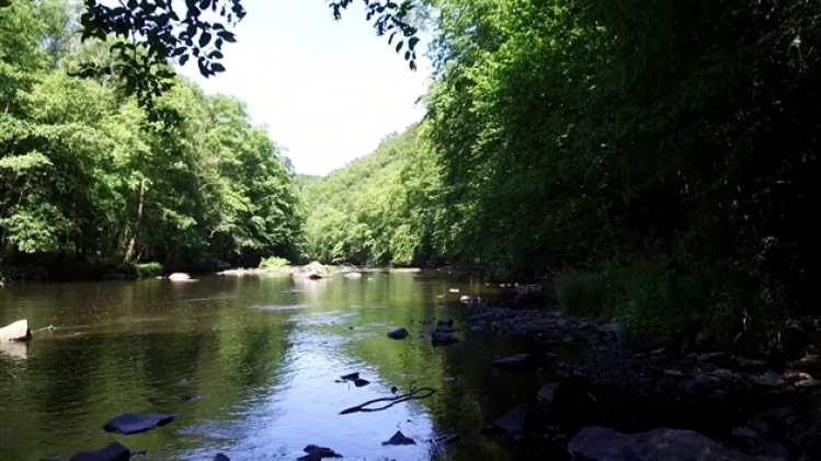 grab_20190731_160913_772