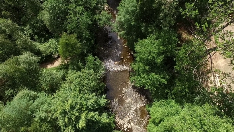 grab_20190731_180604_772