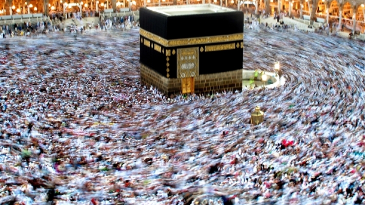 0mecque-circonvultion