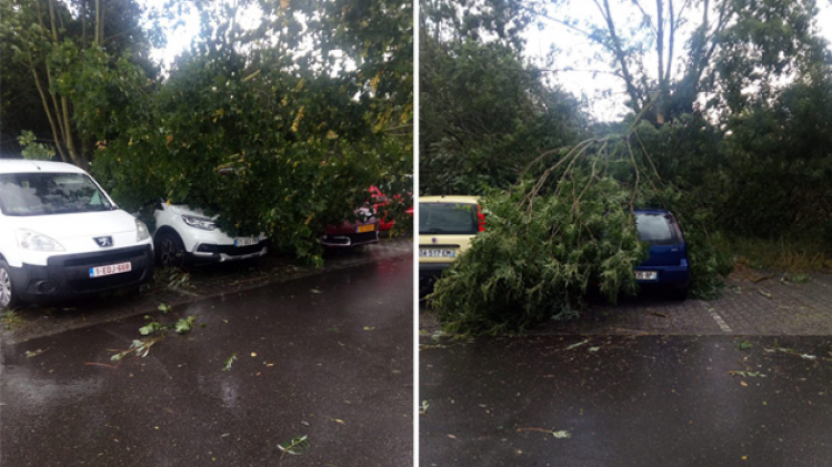 tornade-petange-combi