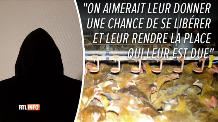 0gembloux-poulets-anti-speciste