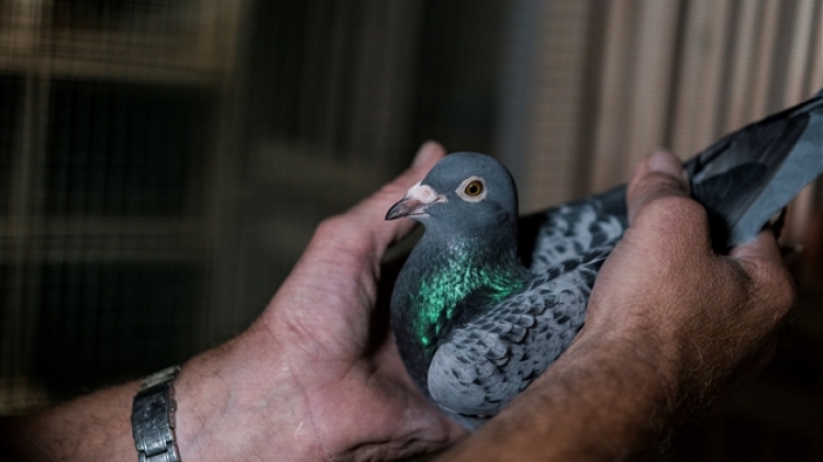 belgaimage-155051156