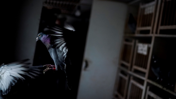 belgaimage-155051165