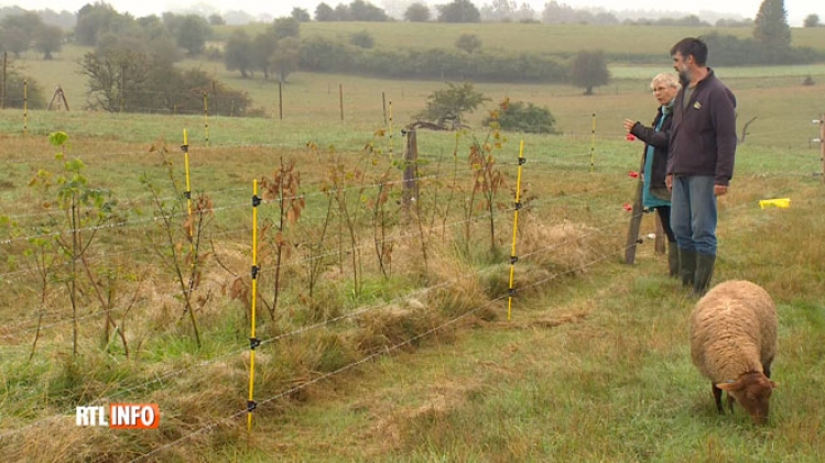 Grab_20190912_131719_356