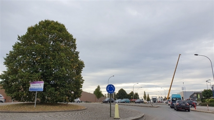 70201973_2529591977273174_3565465541701271552_o