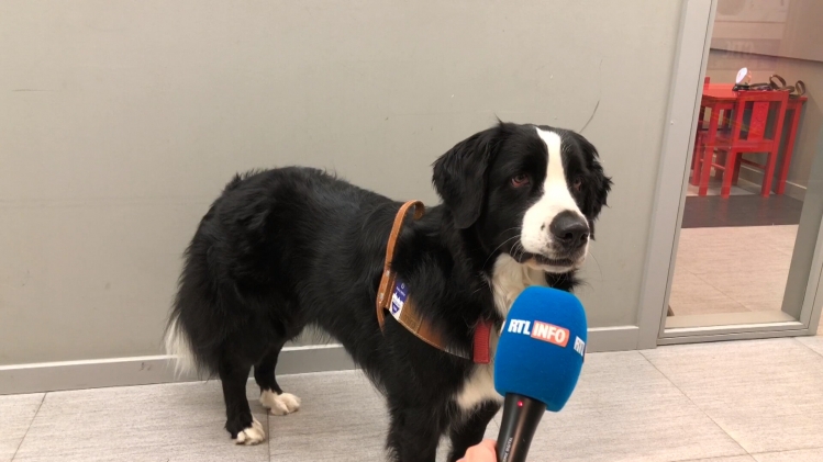 Grab_20190925_104202_401