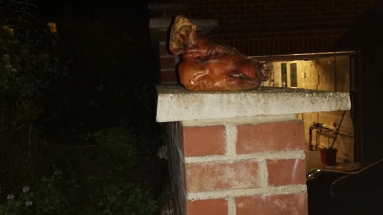 72048883_902790236757476_503778292063535104_n