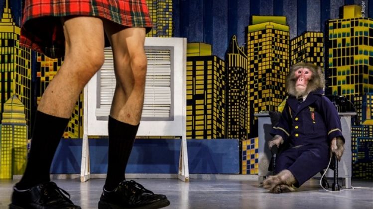 © jasper doest - wildlife photographer of the year