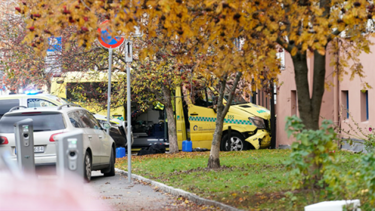 BELGAIMAGE-157268858