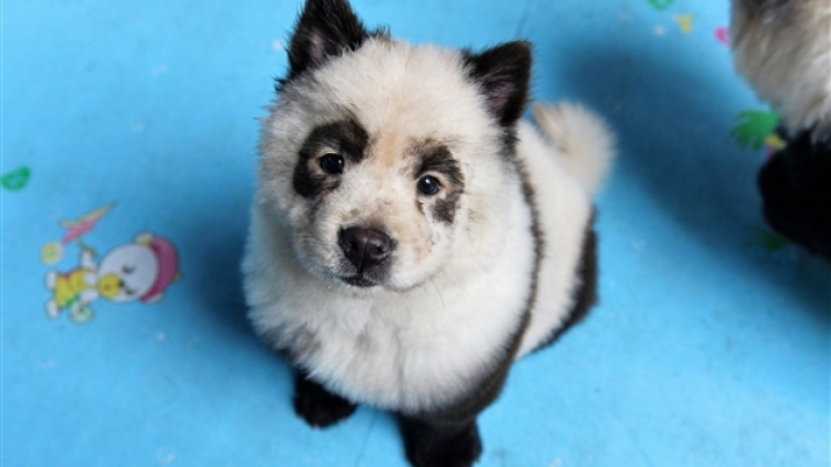 belgaimage-157313059