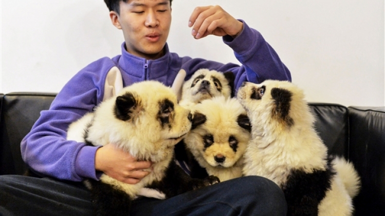 belgaimage-157313063