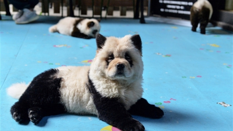 belgaimage-157313061