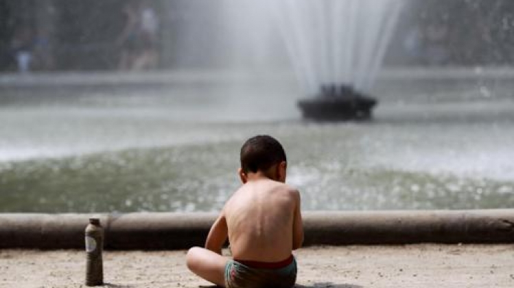 L'été a engendré une prolifération d'algues bleues dans plusieurs plans d'eau de Bruxelles