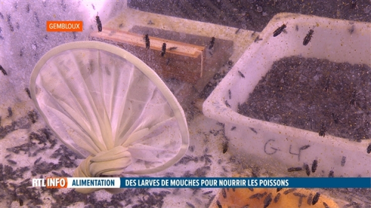 grab_20191117_132328_772