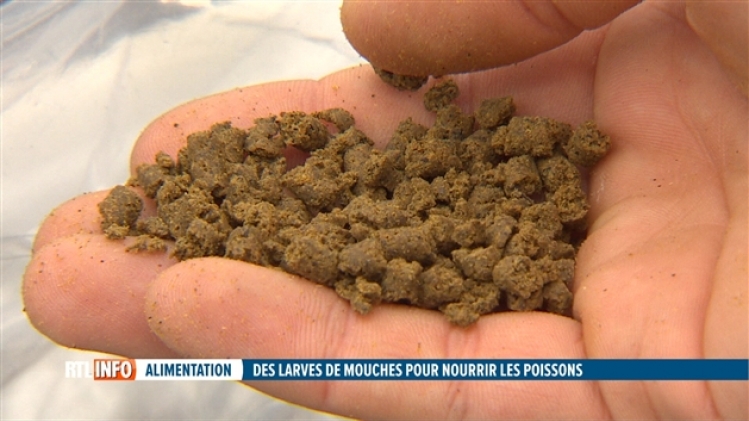 grab_20191117_132641_772