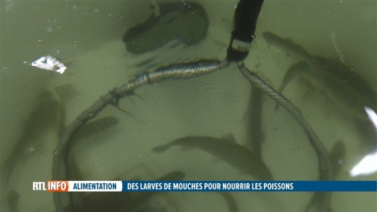 grab_20191117_132751_772