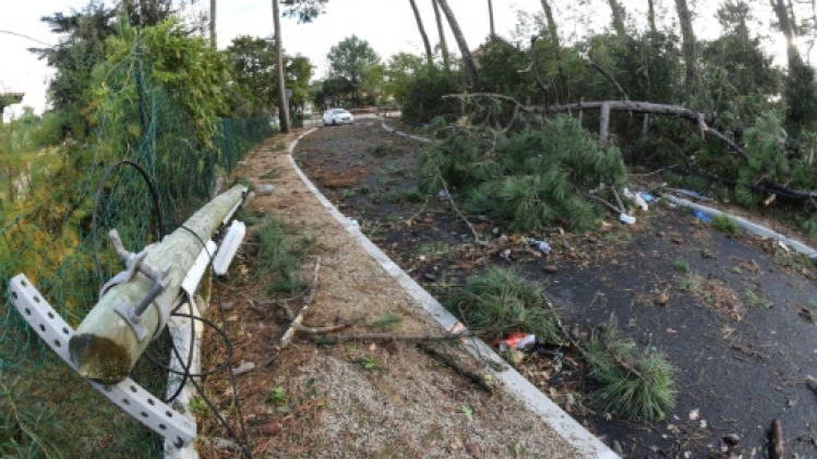 Neige: encore 14.500 foyers privés d'électricité dans la Drôme