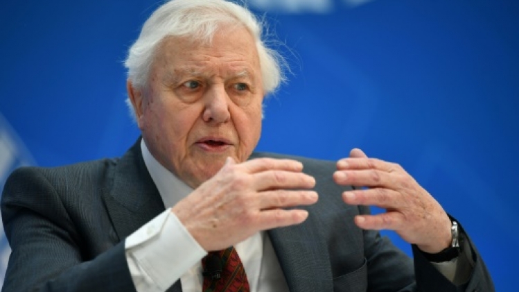 GB: la Reine récompense Attenborough pour sa série Planète bleue