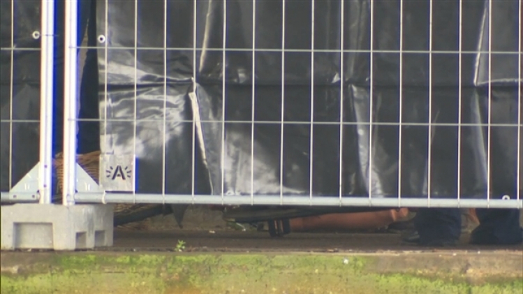 grab_20191121_181804_772