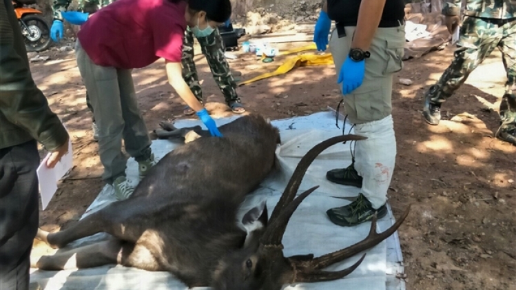 belgaimage-158735784 (1)