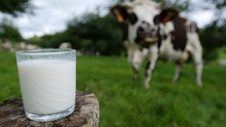 L'Apaq-W lance une campagne de promotion du lait wallon