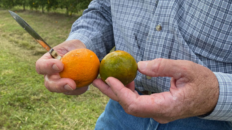 BELGAIMAGE-158901198