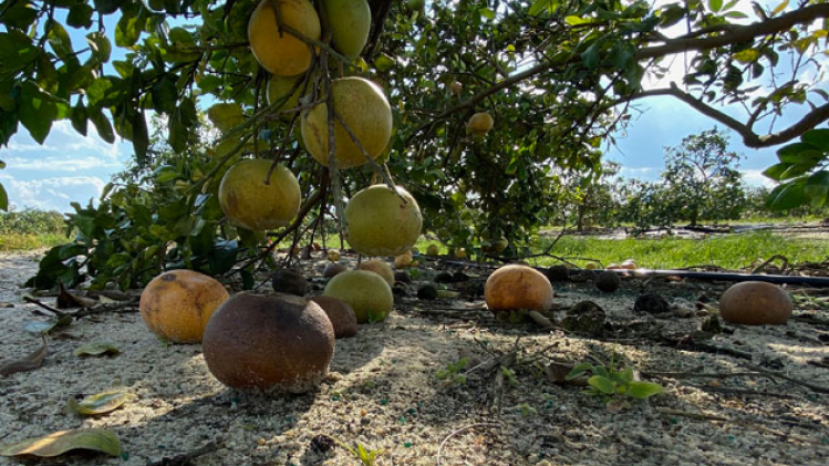 BELGAIMAGE-158901398