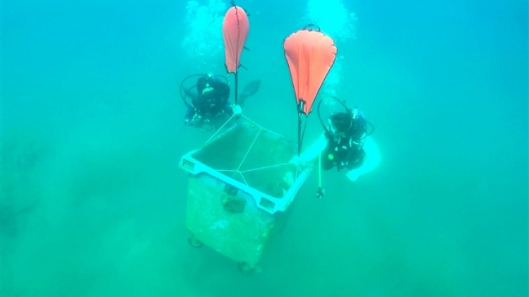 belgaimage-158905450