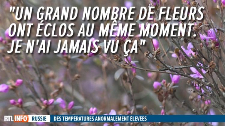 Grab_20191222_131840_808